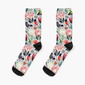 Sunbirds & Proteas на сиви чорапи, компресия чорапи за мъже